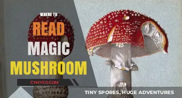 Exploring the Realms of Psilocybin: A Guide to Magic Mushroom Literature
