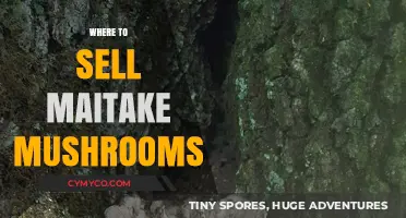 Exploring Lucrative Avenues: Where to Sell Maitake Mushrooms