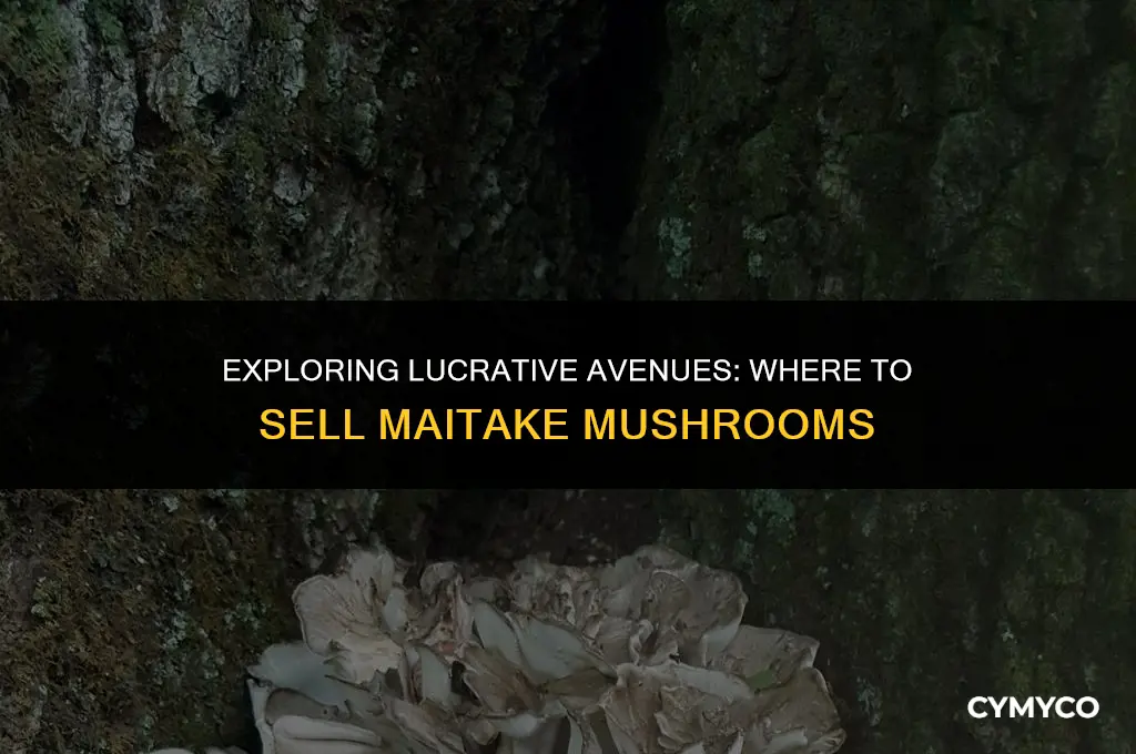 where to sell maitake mushrooms