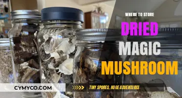 Safekeeping Your Stash: Optimal Storage for Dried Magic Mushrooms