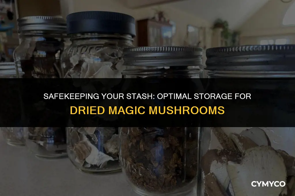 where to store dried magic mushrooms