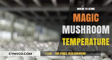 Optimal Temperature and Storage Tips for Magic Mushrooms