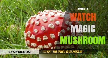 Exploring the Best Spots to Watch Magic Mushrooms in Nature