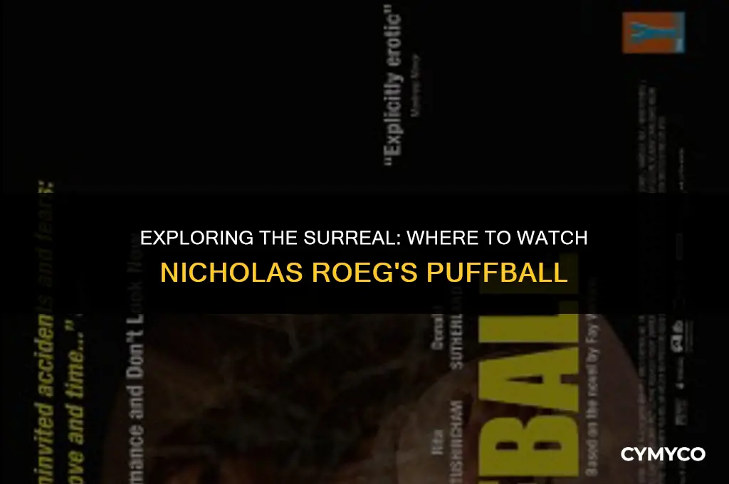 where to watch nicholas roeg