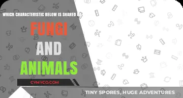 Exploring the Common Threads: Characteristics Shared by Plants, Fungi, and Animals