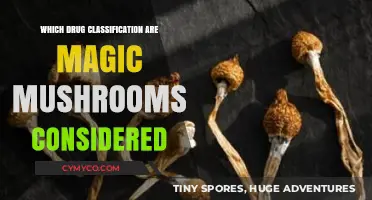 Exploring the Legal and Medicinal Landscape of Magic Mushrooms