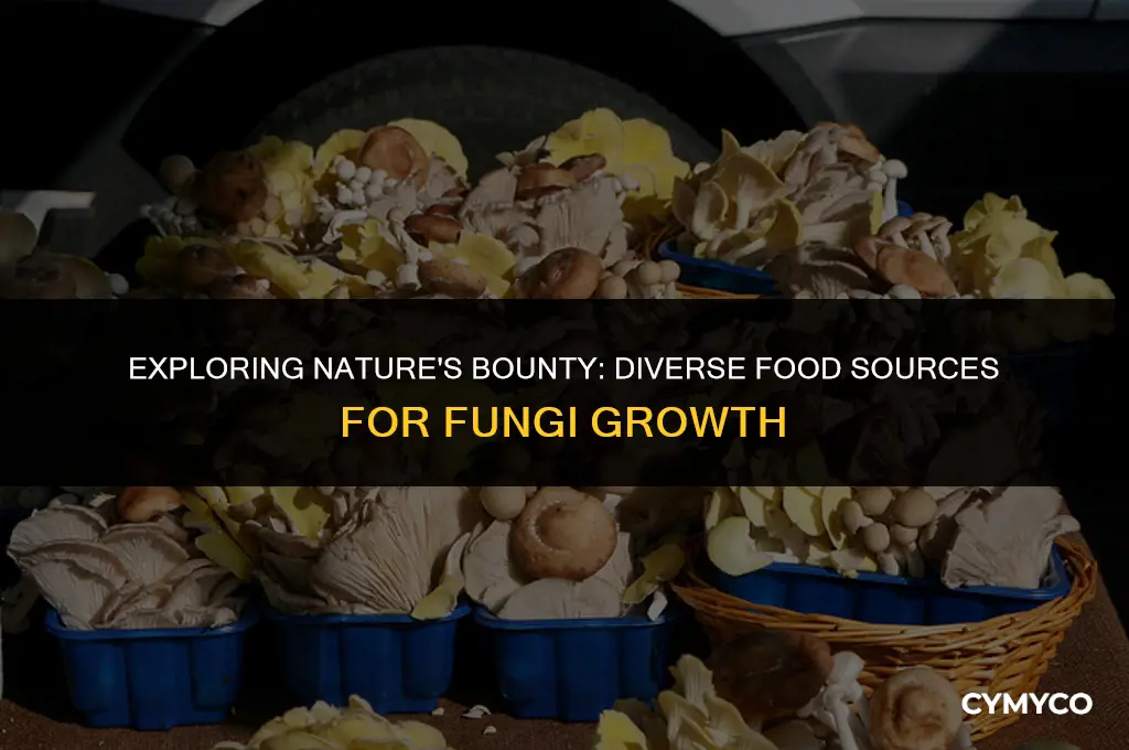 which material can serve as a food source for fungi