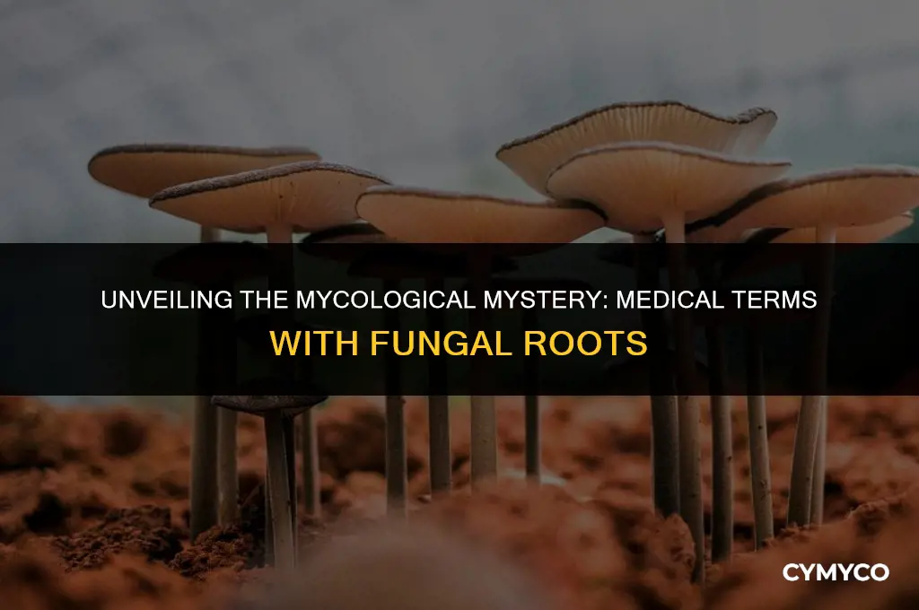 which medical term contains a word root that means fungus