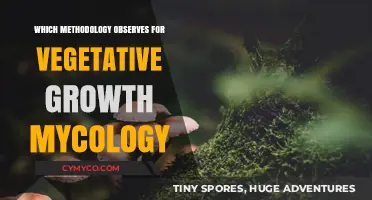 Exploring Vegetative Growth in Mycology: A Comprehensive Guide