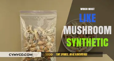 Exploring the Fascinating World of Synthetic Mushrooms