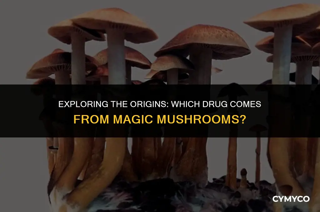 which of the following drugs comes from the magic mushrooms