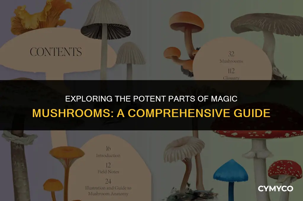 which part of magic mushrooms are best
