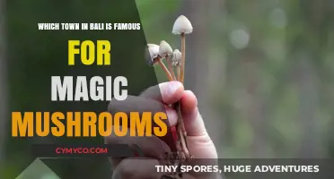 Exploring Bali's Mystical Side: The Town Famous for Magic Mushrooms