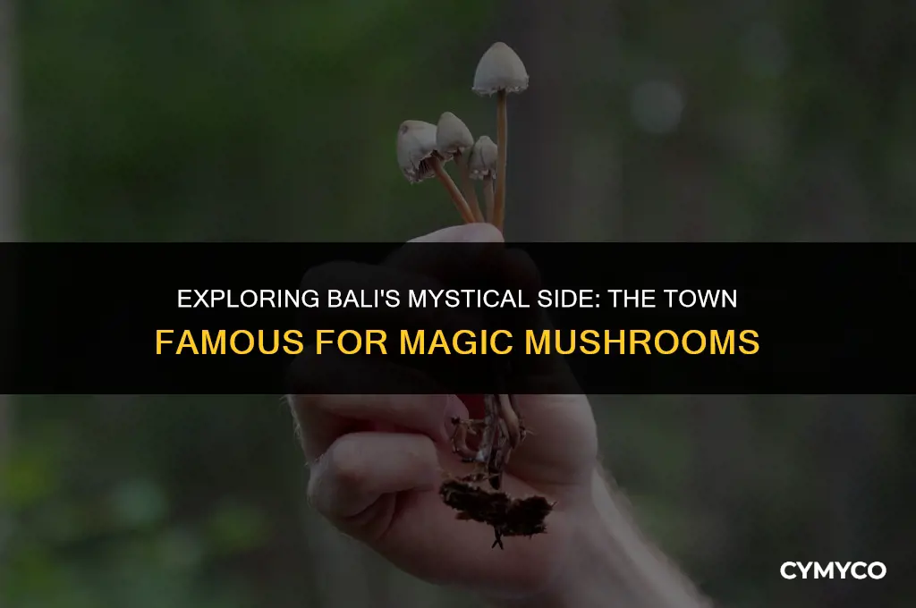 which town in bali is famous for magic mushrooms