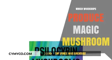 Unlocking the Secrets: Which Wood Chips Yield the Best Magic Mushrooms?