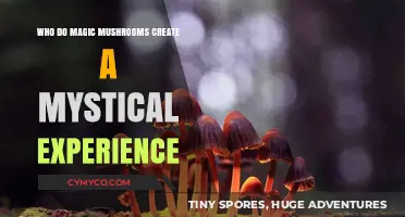 Unveiling the Mystique: How Magic Mushrooms Induce Profound Experiences
