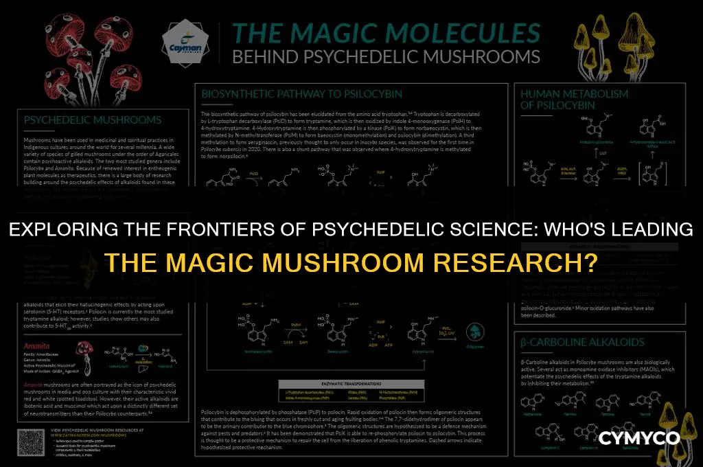 who is doing magic mushroom research