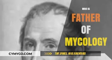 Exploring the Origins: Who is the Father of Mycology?