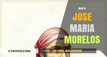 Unveiling the Legacy of Jose Maria Morelos: A Revolutionary Hero