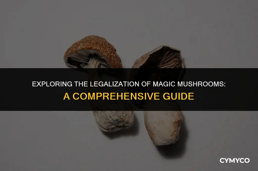 who legalized magic mushrooms