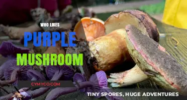 Exploring the Fascination: Who Really Likes Purple Mushrooms?
