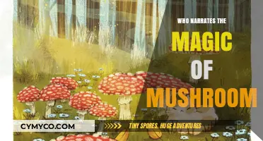 Exploring the Enchanting World of Mushrooms: A Narrator's Journey