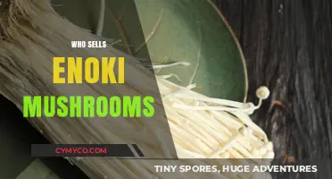 Exploring the Enoki Mushroom Market: Who Sells These Delicate Fungi?