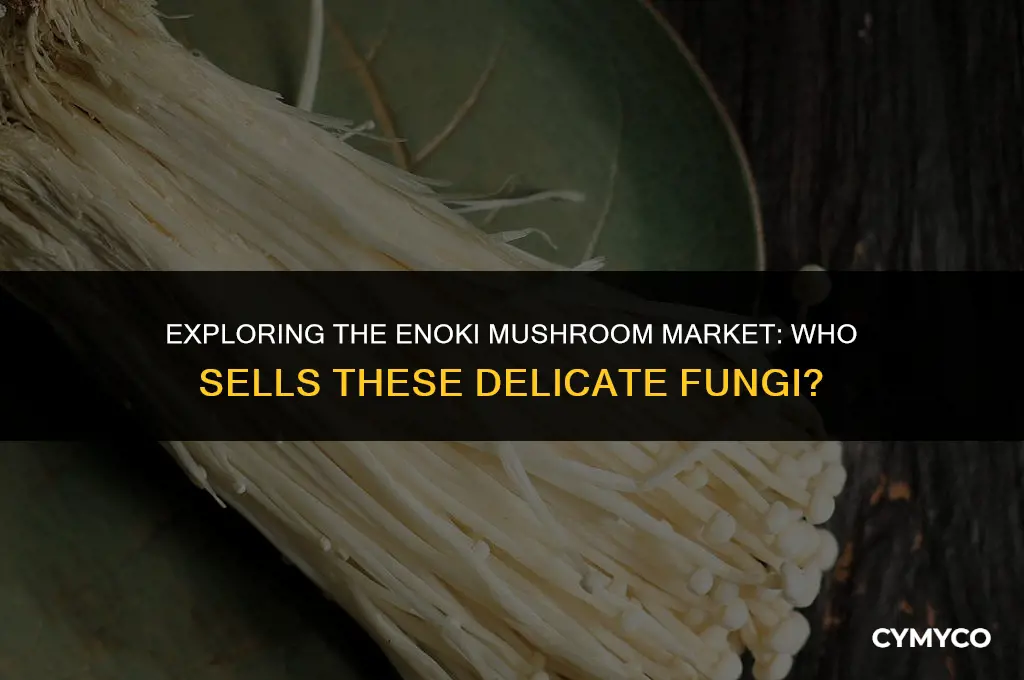 who sells enoki mushrooms
