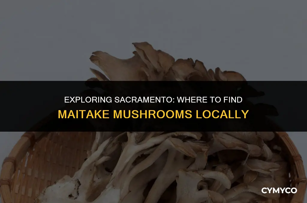 who sells maitake mushroomsin sacramento area