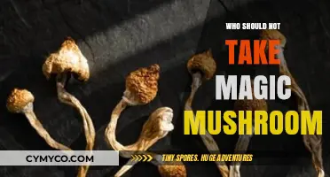 Exploring Contraindications: Who Should Avoid Magic Mushrooms?