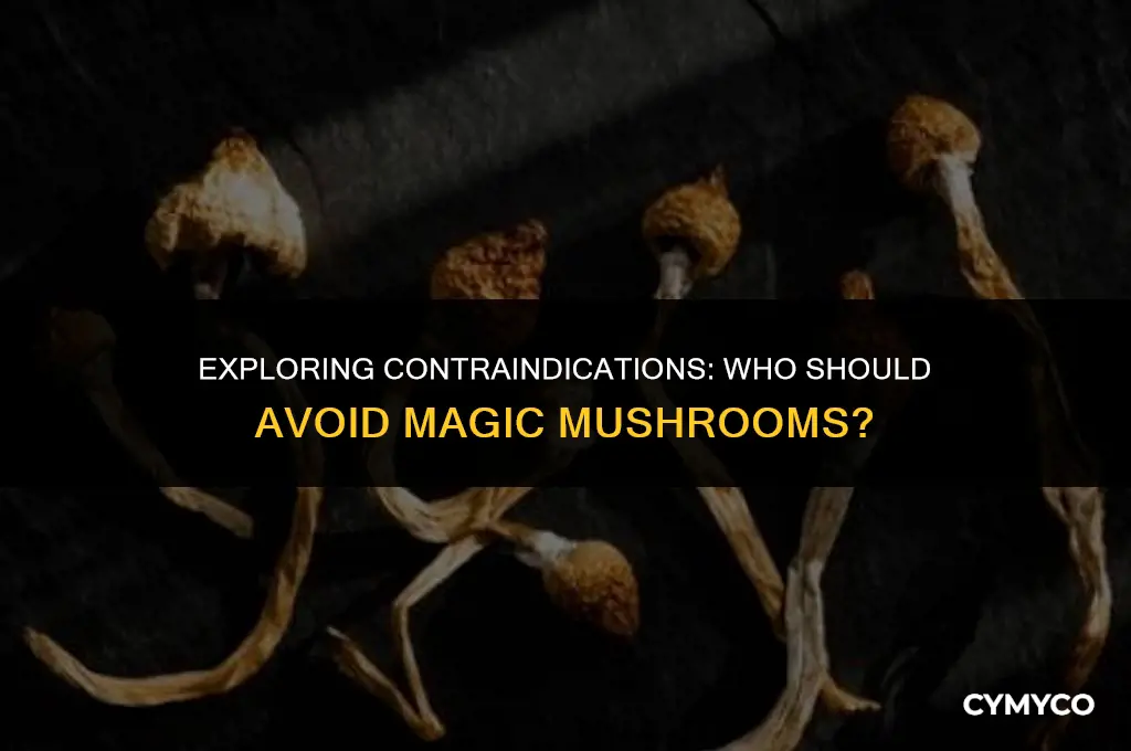 who should not take magic mushrooms