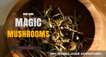 Exploring the Diverse World of Magic Mushroom Enthusiasts