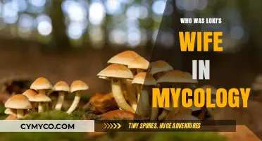 Exploring Loki's Consort in the Realm of Mycology