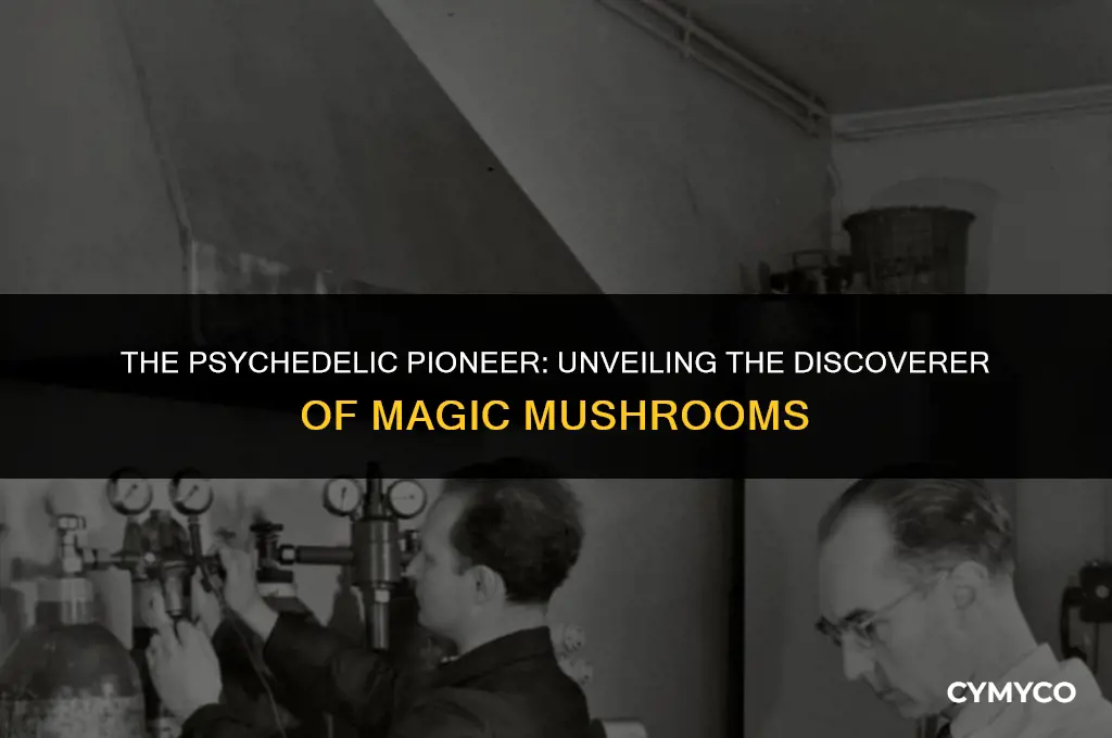 who was the person who found magic mushrooms