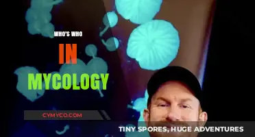 Exploring the Fascinating World of Mycology: A Guide to Key Figures