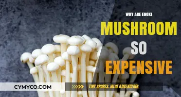 The Costly Enoki: Unraveling the Mystery Behind Their High Price