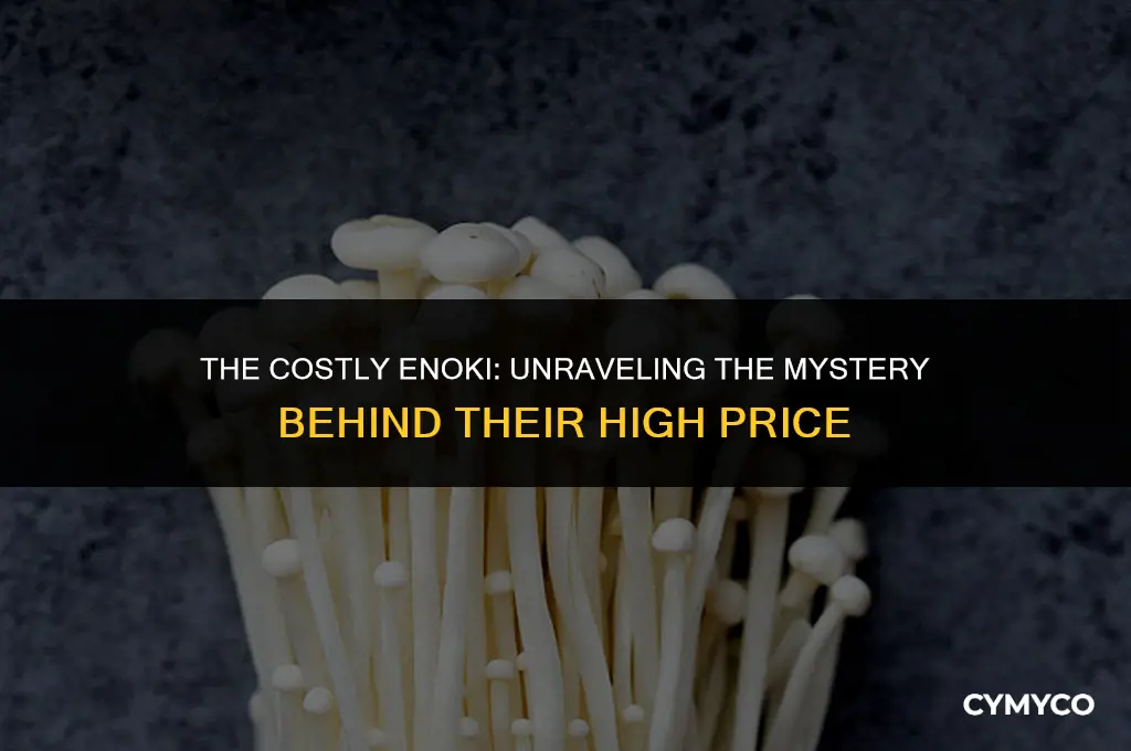 why are enoki mushrooms so expensive