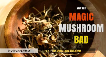 Exploring the Risks: Why Magic Mushrooms Can Be Harmful