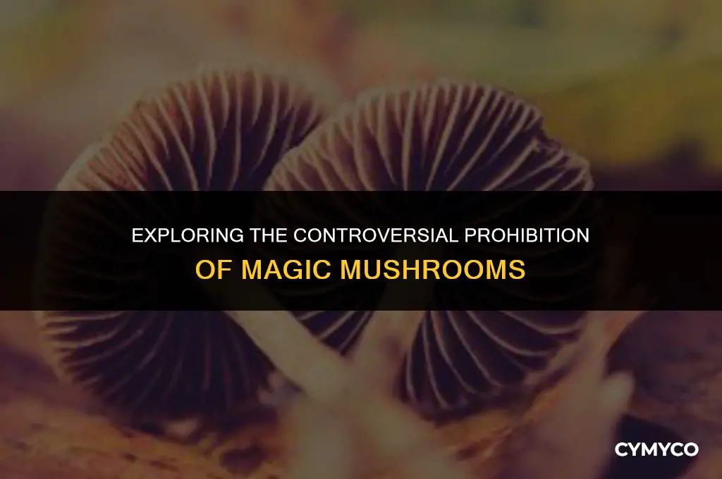 why are magic mushrooms banned