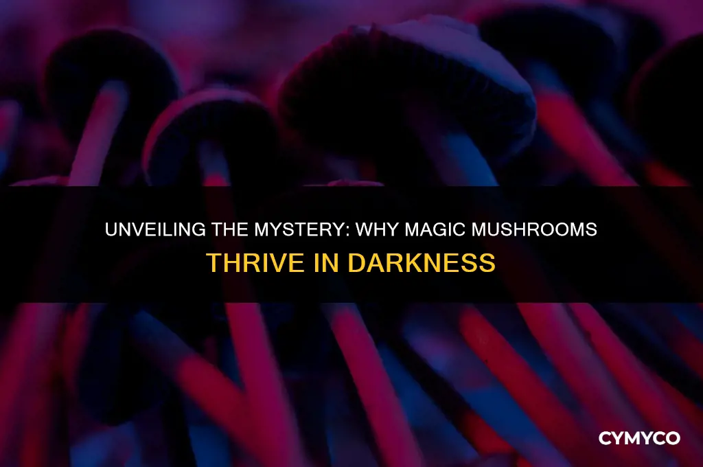 why are magic mushrooms dark