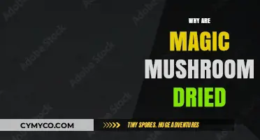 Unveiling the Mysteries: Why Magic Mushrooms Are Dried