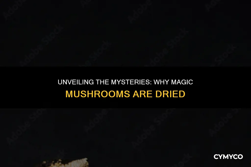 why are magic mushrooms dried