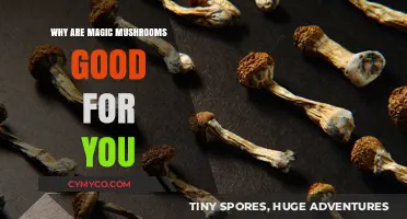 Exploring the Health Benefits of Magic Mushrooms: A Comprehensive Guide
