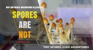 Exploring the Legal Loophole: Magic Mushrooms vs. Spores