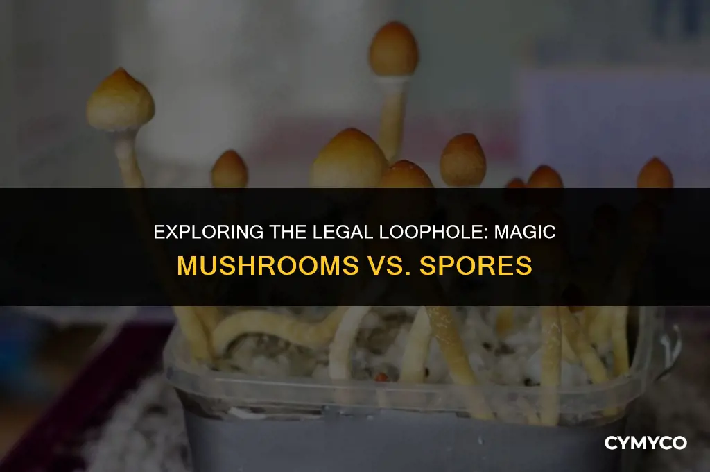 why are magic mushrooms illegal but spores are not