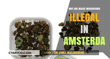 Exploring the Legal Paradox: Magic Mushrooms in Amsterdam