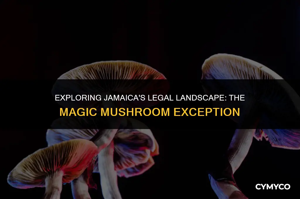 why are magic mushrooms legal in jamaica
