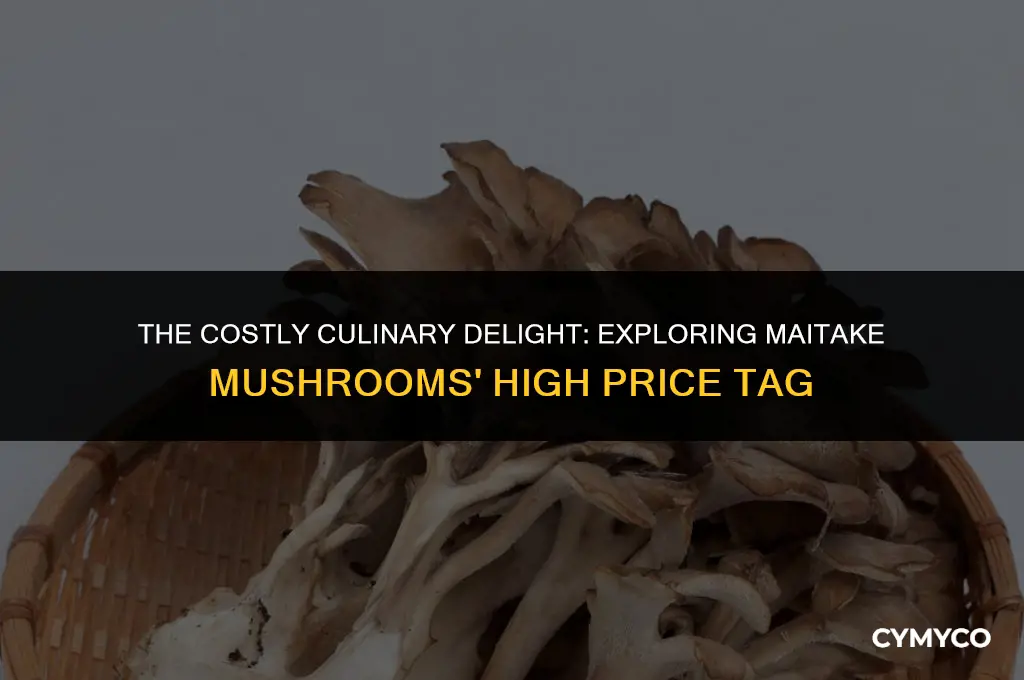 why are maitake mushrooms so expensive