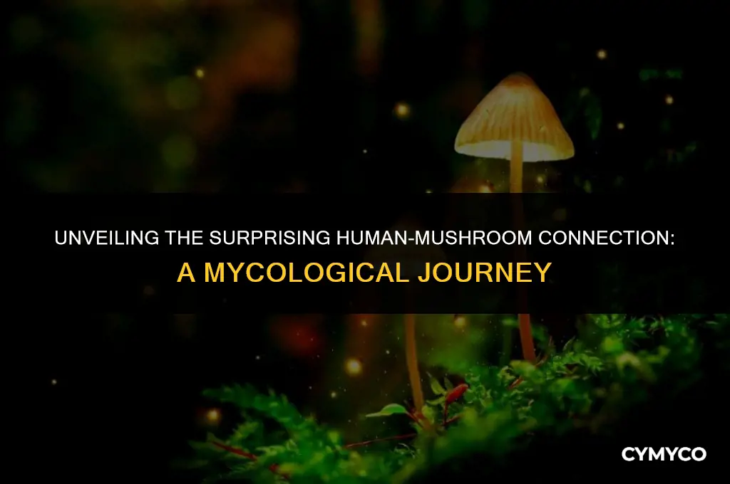 why are mushrooms more like humans than plants