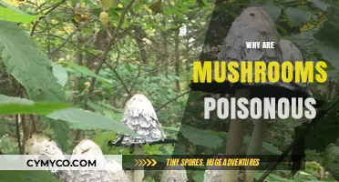 Unveiling the Toxic Truth: Why Some Mushrooms Are Poisonous